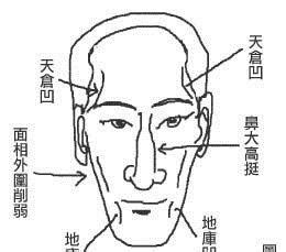 聳鼻|面相解析孤峰獨聳鼻的各種情況